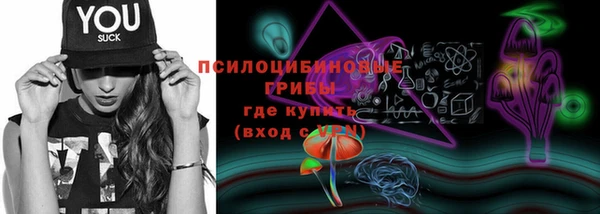 мяу мяу мука Переславль-Залесский