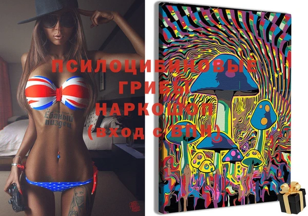 мяу мяу кристалл Покачи