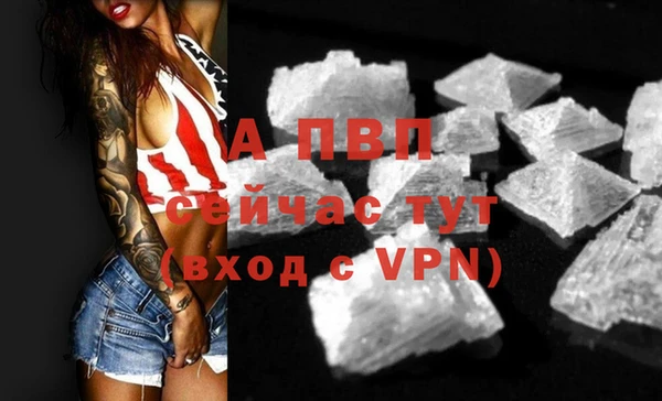 стафф Пересвет