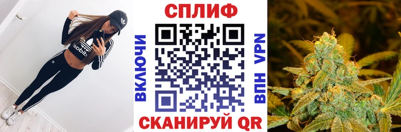 закладка  Пугачёв  Бошки марихуана тримм 